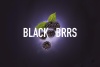 MUSTH Tabak 50g - Black Brrs (11,90 €)