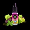 Holster Liquid 10ml 10mg - Grpe Mnt