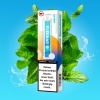 Flerbar M - Einweg E-Shisha ca. 600 Züge - Ice Mint - 20 mg/ml