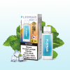 Flerbar Liquid Pod 2er Pack (2 x 2ml) 20mg Nikotin - Ice Mint